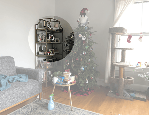 Bookshelf